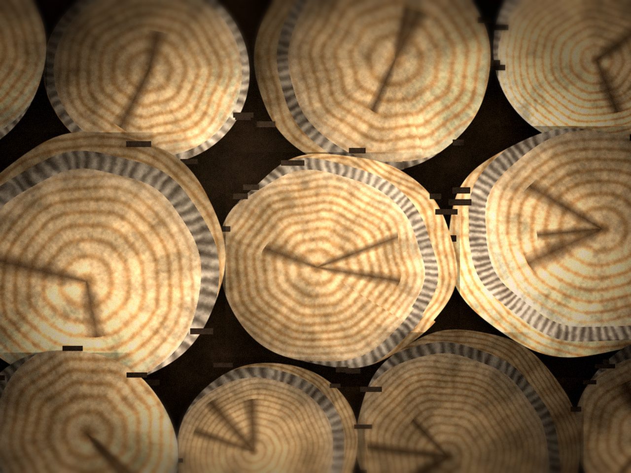 Кругляк берёзовый для распила — ракурс 2